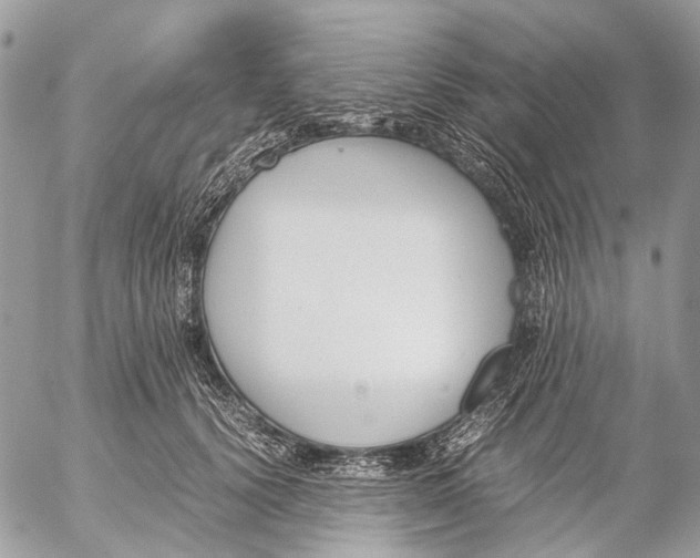 X0000053070656200508081221