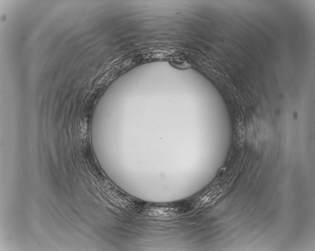 X0000053070657200508081221