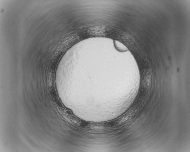 X0000053070658200508081221