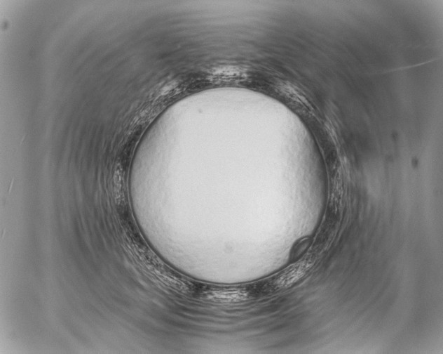 X0000053070659200508081221