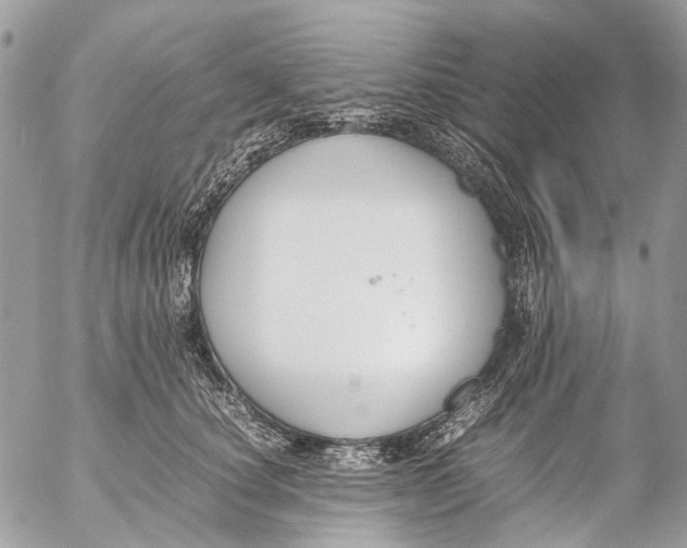 X0000053070660200508081221