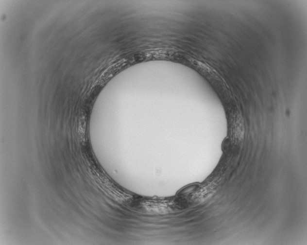 X0000053070661200508081221