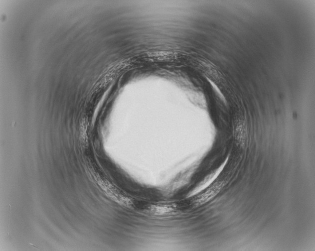 X0000053070662200508081221