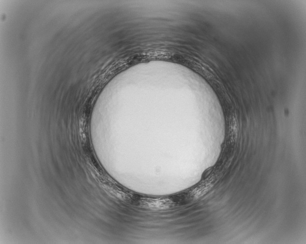 X0000053070663200508081221