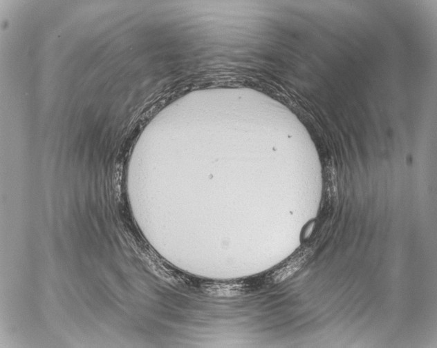 X0000053070664200508081221