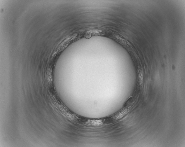 X0000053070665200508081221