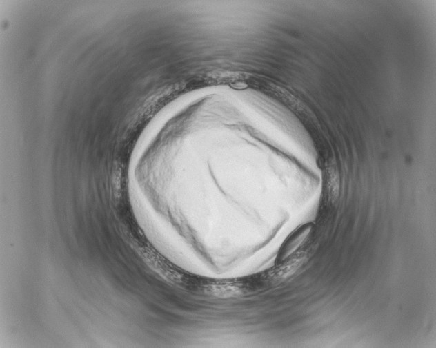 X0000053070668200508081221