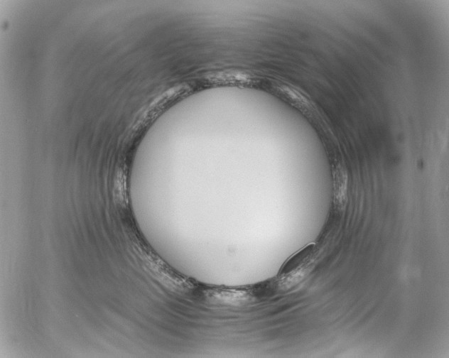 X0000053070669200508081221