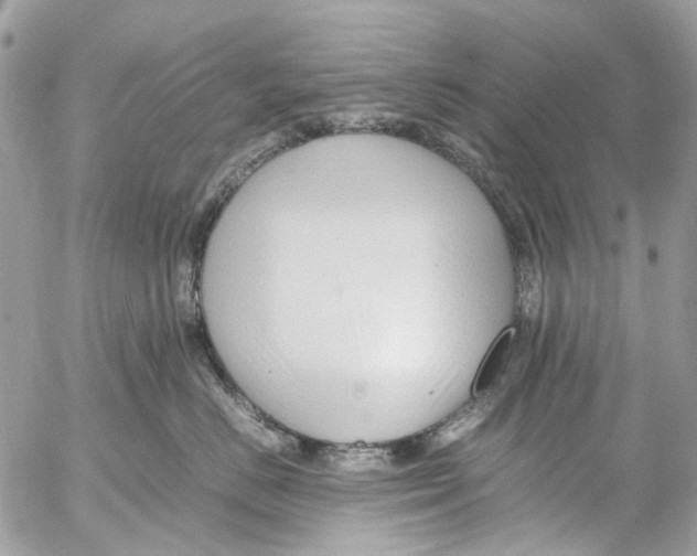 X0000053070670200508081221