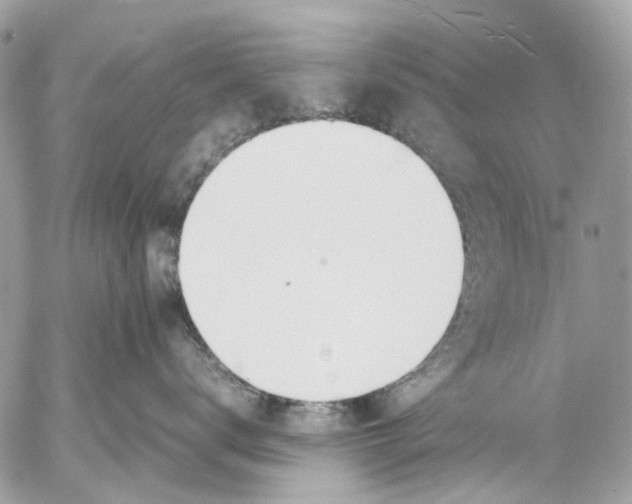 X0000053070672200508081221