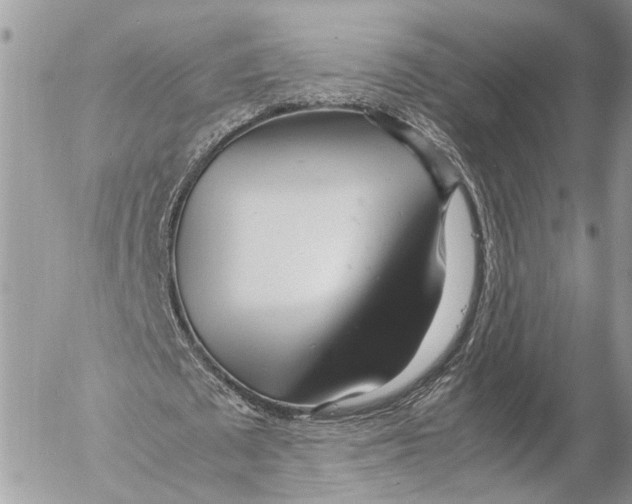 X0000053070673200508081220