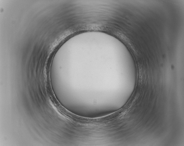 X0000053070674200508081220