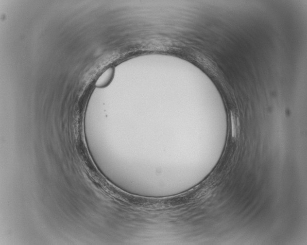 X0000053070675200508081220