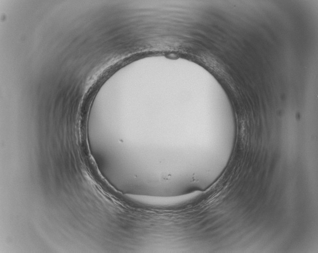 X0000053070676200508081220