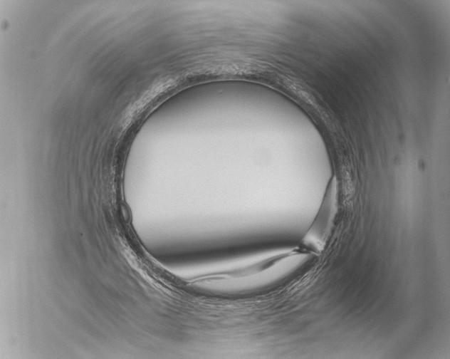 X0000053070677200508081220