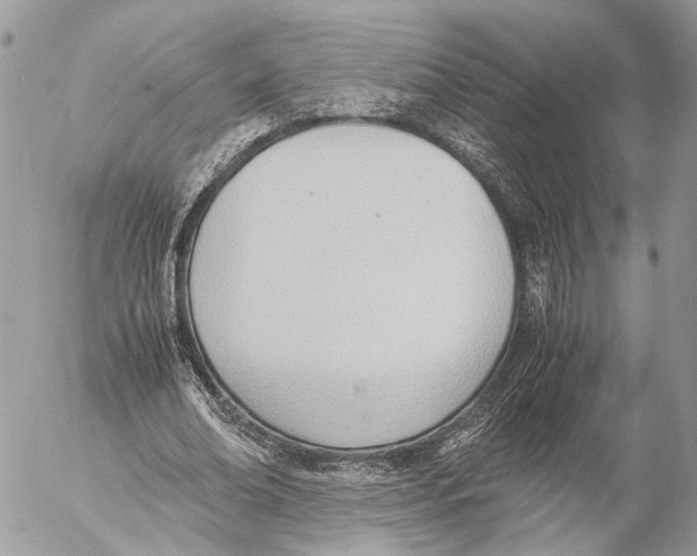 X0000053070678200508081220