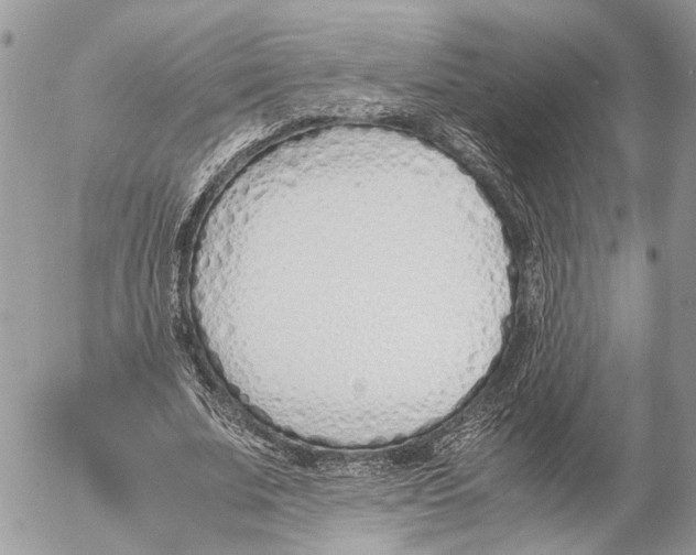 X0000053070679200508081220