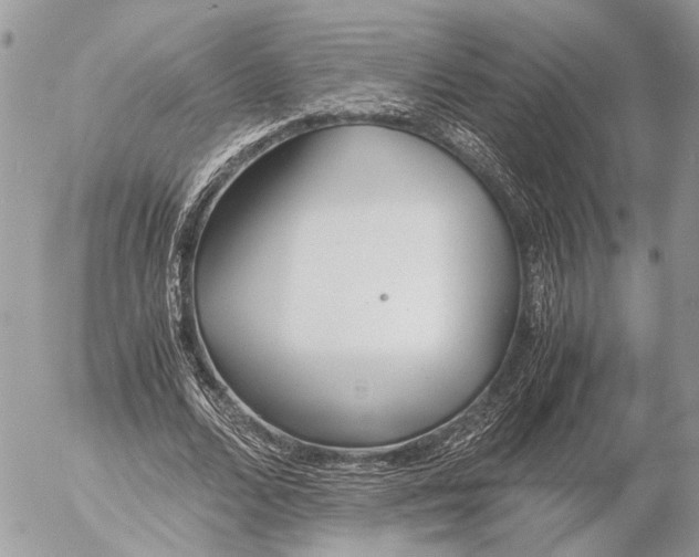 X0000053070680200508081220