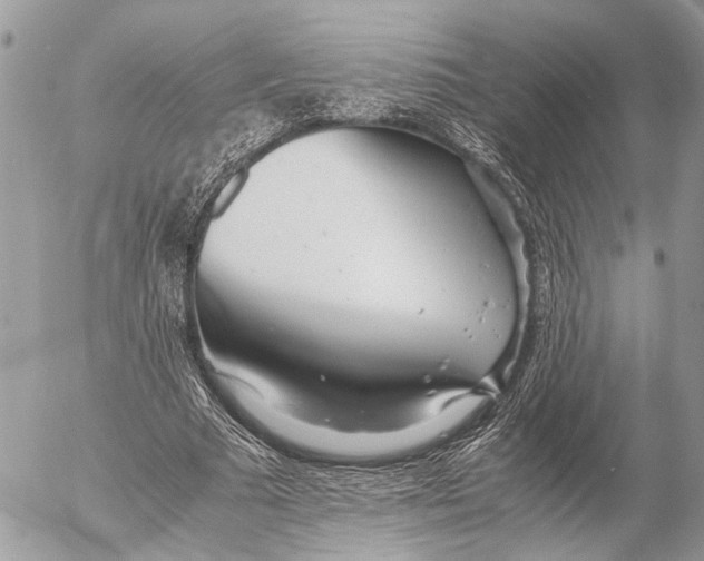 X0000053070681200508081220