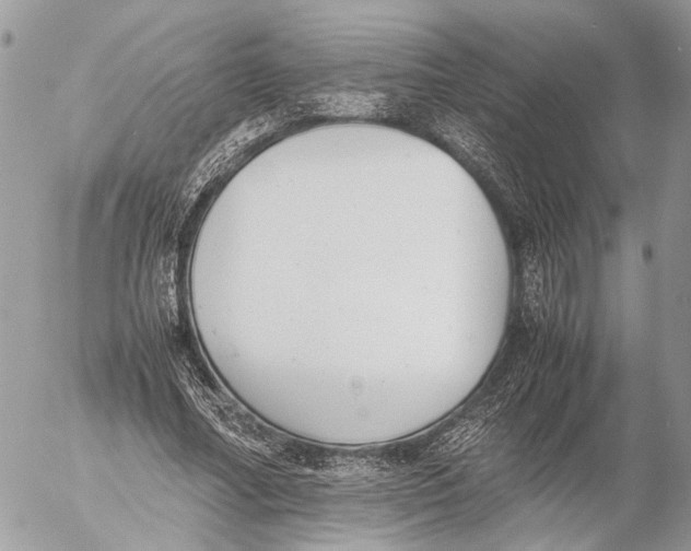 X0000053070682200508081220