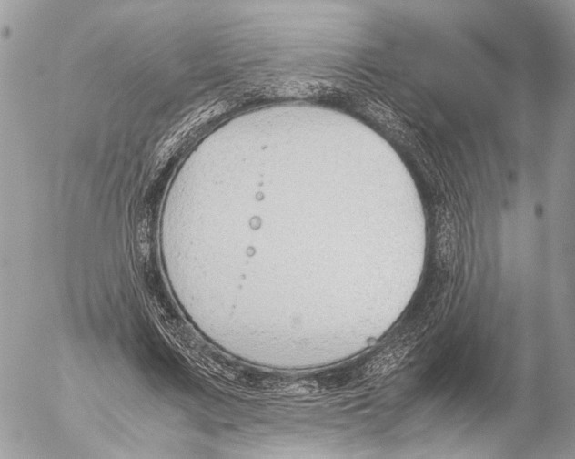 X0000053070683200508081220