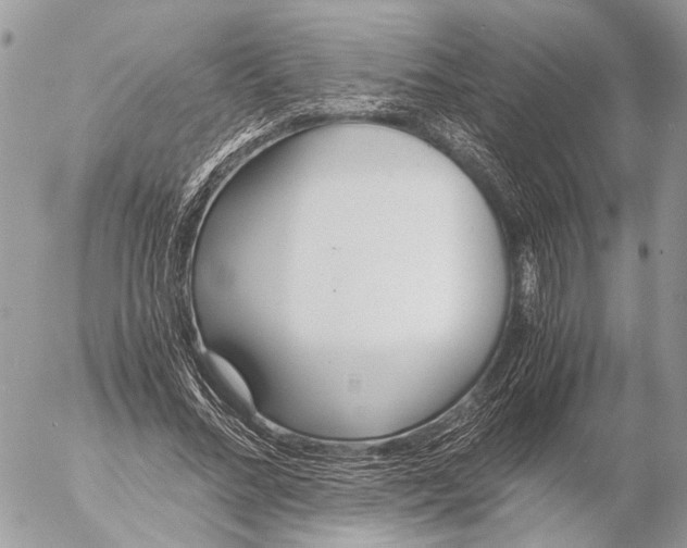 X0000053070684200508081220