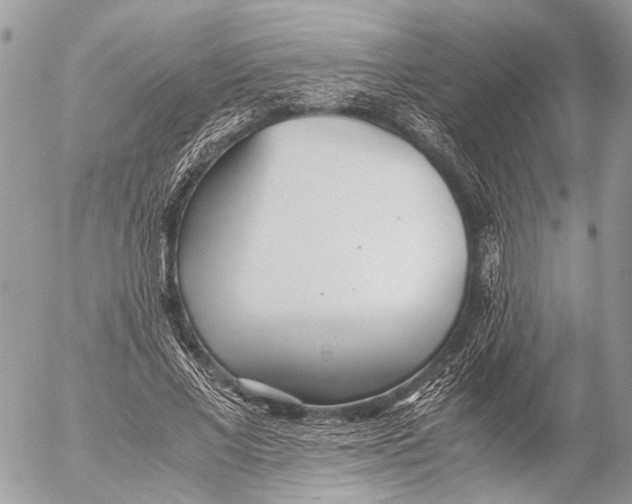 X0000053070685200508081220