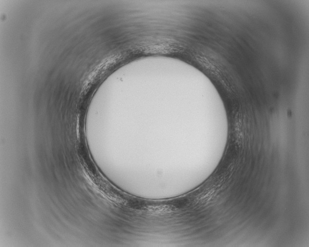 X0000053070686200508081220