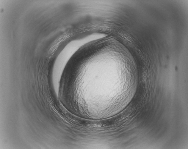 X0000053070687200508081220