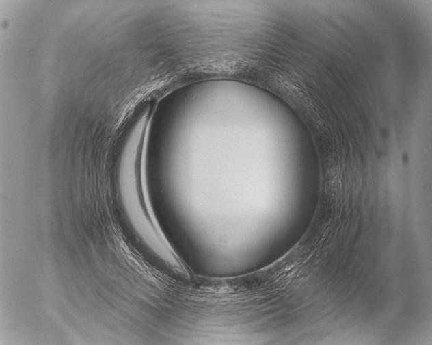 X0000053070688200508081220