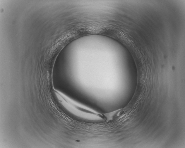 X0000053070689200508081220