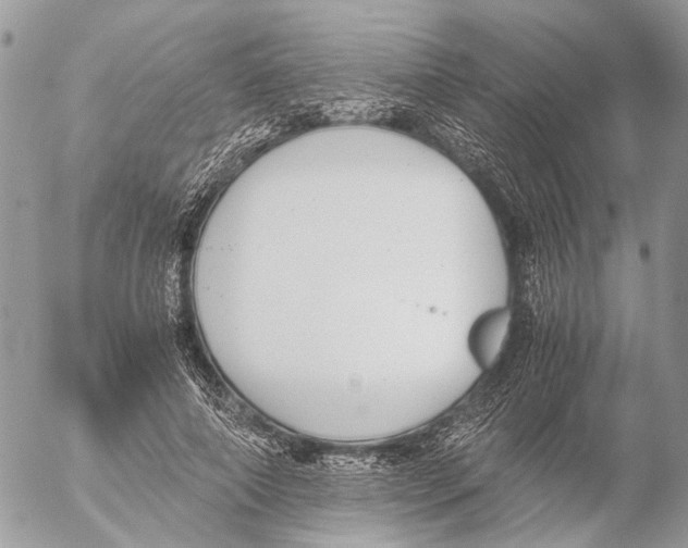 X0000053070690200508081220