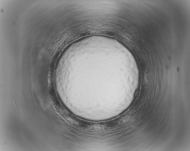 X0000053070691200508081220