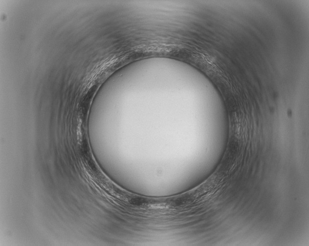 X0000053070692200508081220