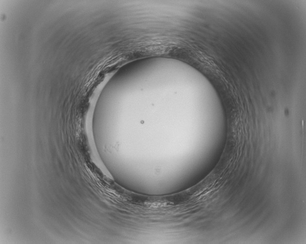 X0000053070693200508081220