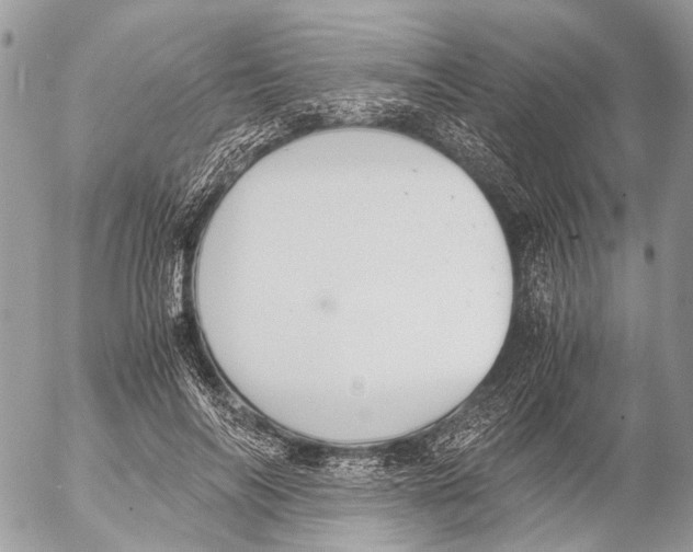 X0000053070694200508081220