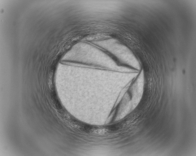 X0000053070695200508081220