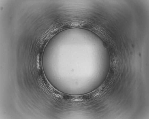 X0000053070696200508081220