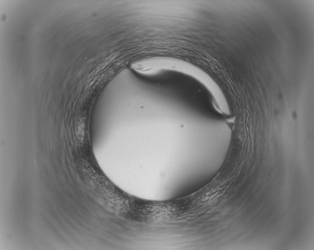 X0000053070697200508081220