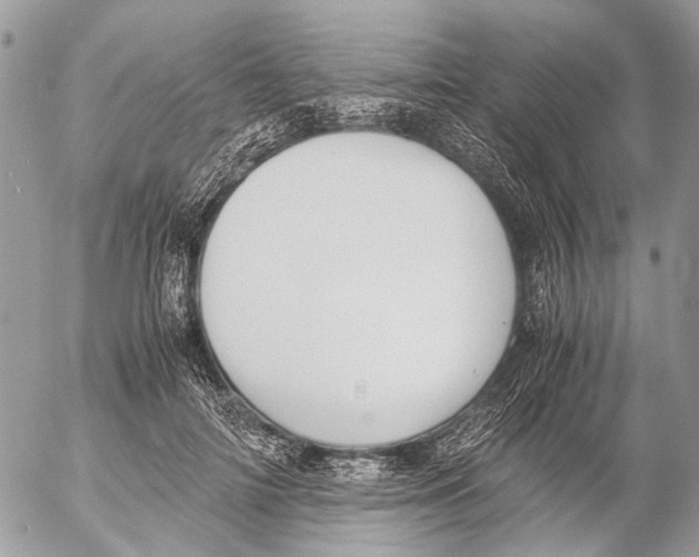 X0000053070698200508081220