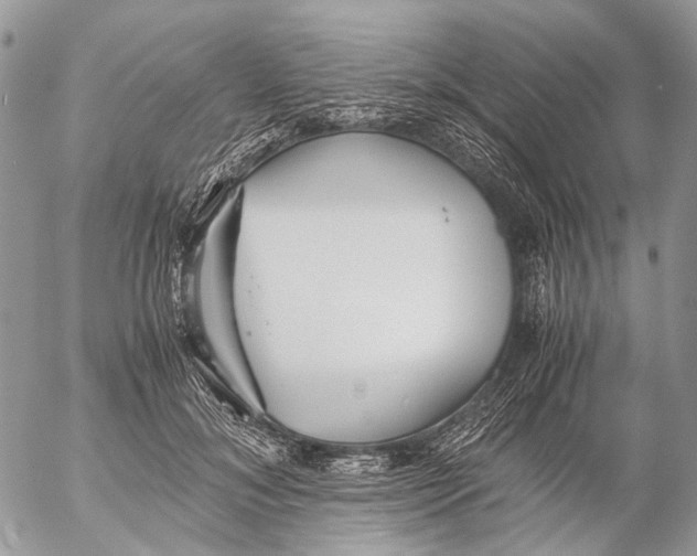 X0000053070700200508081220