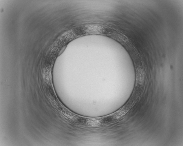 X0000053070701200508081220