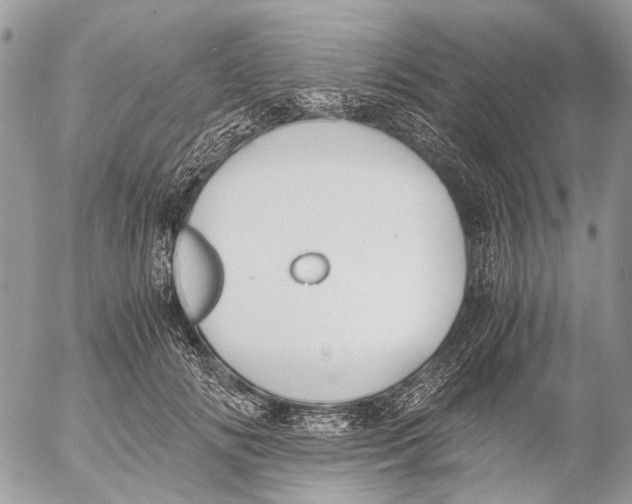 X0000053070702200508081220