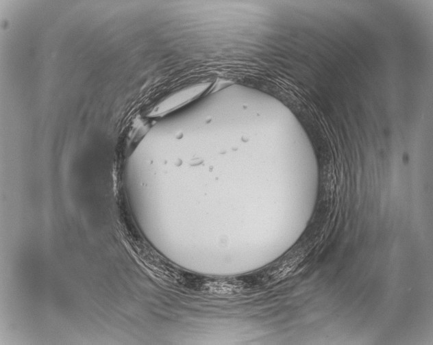 X0000053070703200508081220