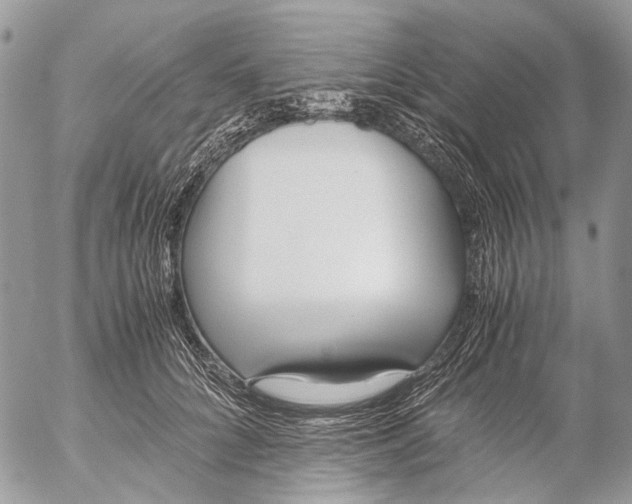 X0000053070704200508081220