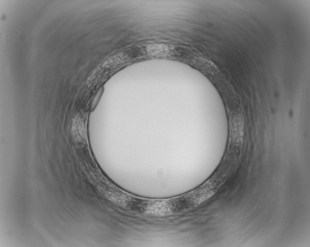 X0000053070705200508081220