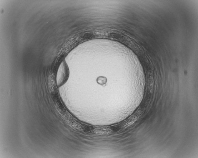 X0000053070707200508081220