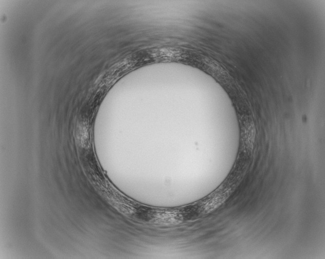 X0000053070709200508081220