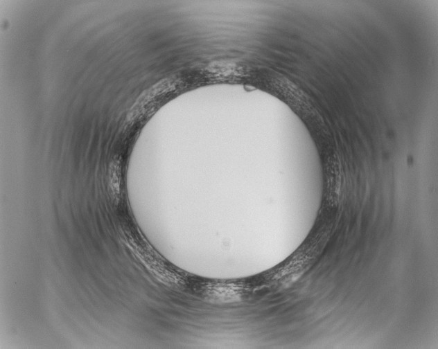 X0000053070710200508081220