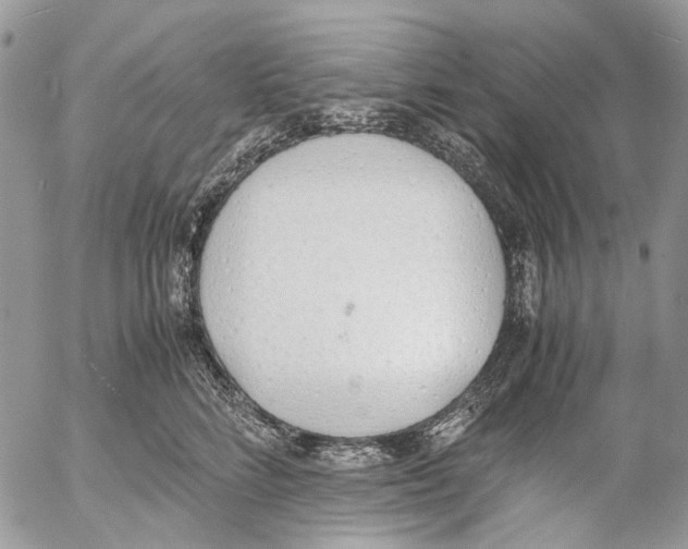 X0000053070712200508081220